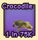 Crocodile in the Ride A Pet community reference catalogue